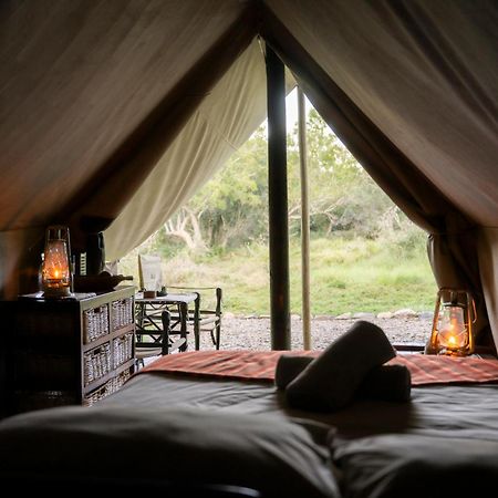 Quatermain'S 1920'S Safari Camp - Amakhala Game Reserve Exteriér fotografie