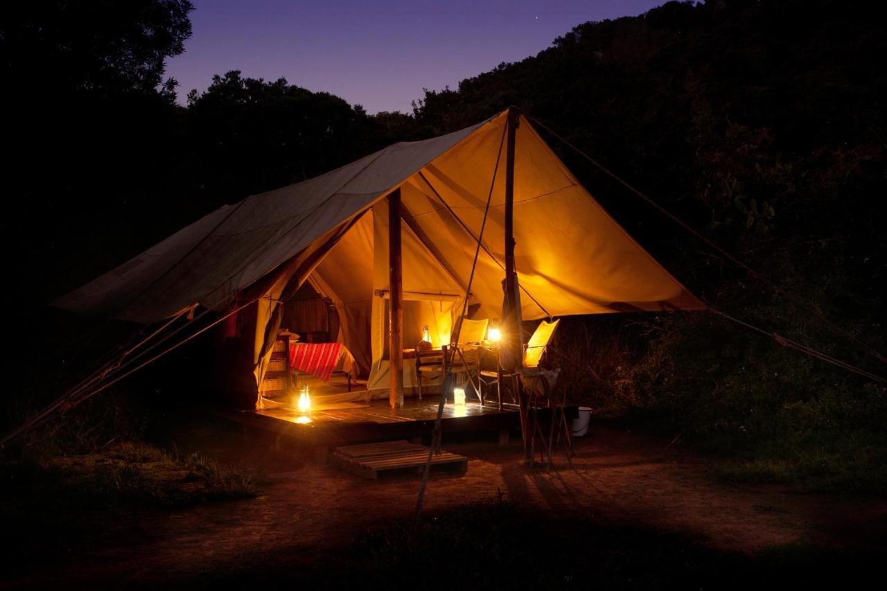 Quatermain'S 1920'S Safari Camp - Amakhala Game Reserve Exteriér fotografie