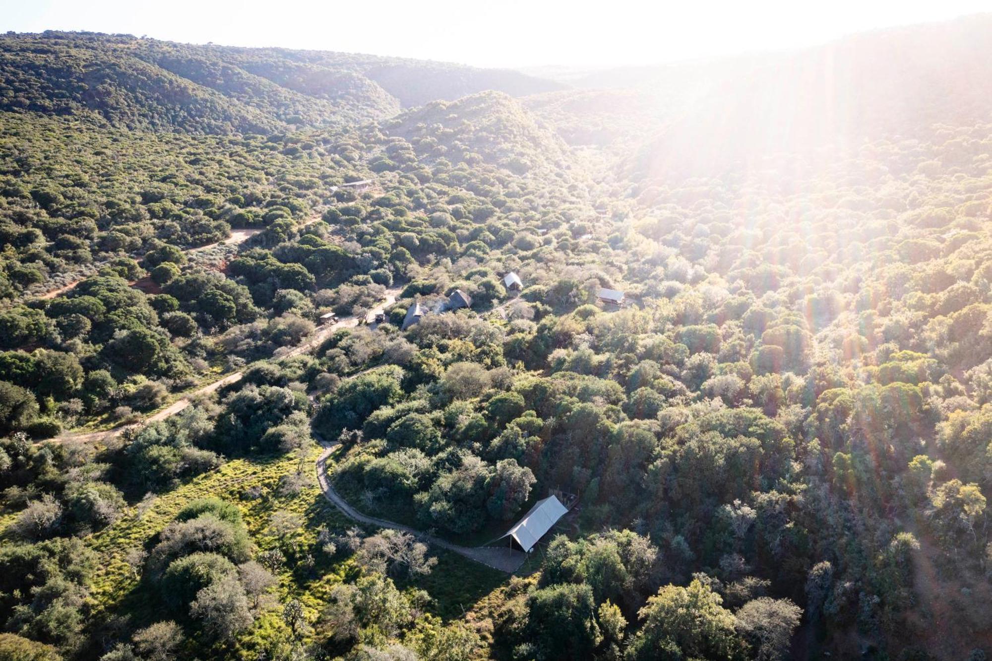Quatermain'S 1920'S Safari Camp - Amakhala Game Reserve Exteriér fotografie