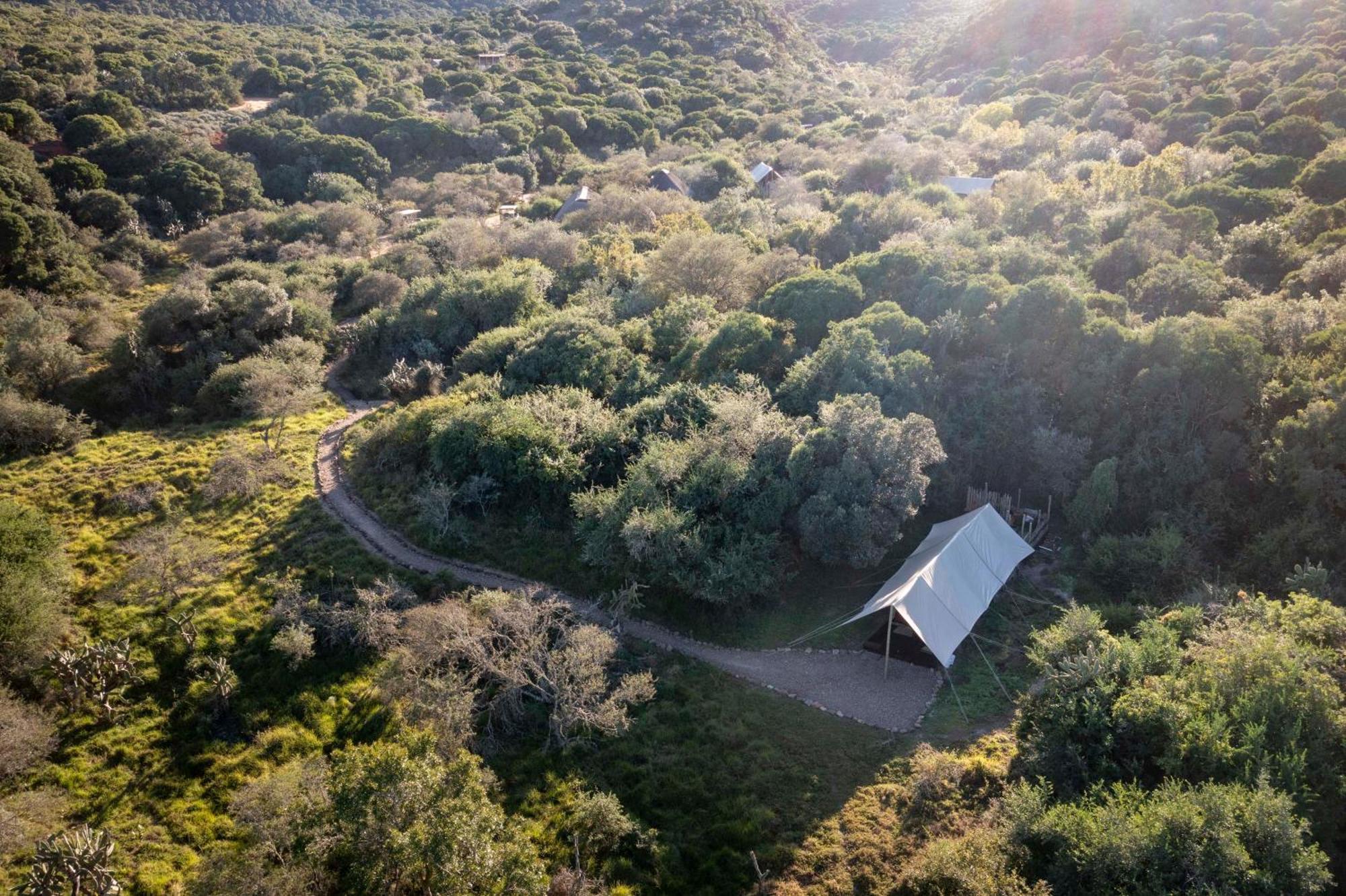 Quatermain'S 1920'S Safari Camp - Amakhala Game Reserve Exteriér fotografie